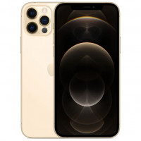 Смартфон Apple iPhone 12 Pro Max 256GB Gold / Золотой
